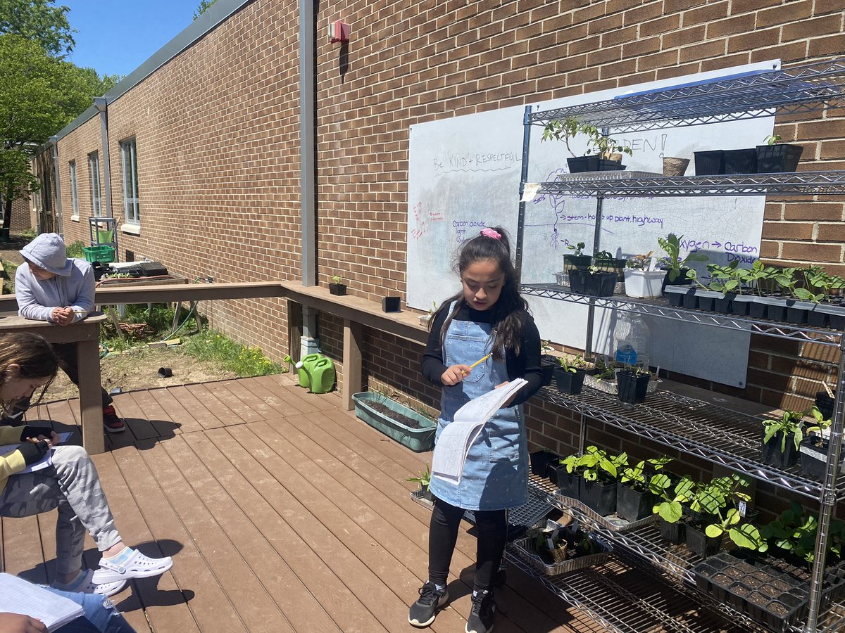 Hollin Meadows Garden tweet media