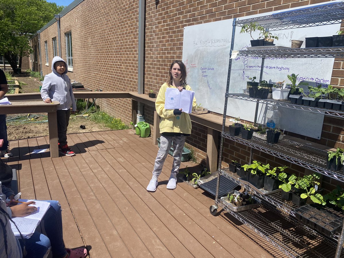 Hollin Meadows Garden tweet media