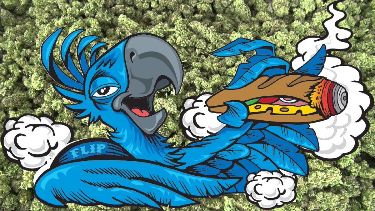 How’s everyone’s day going?