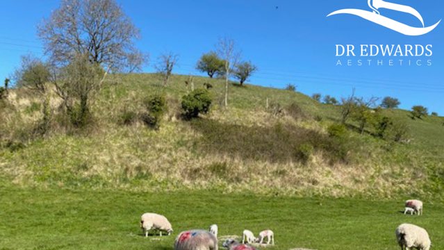 I took this picture last year. Enjoying lockdown walks in beautiful Wiltshire. The green and blue are as seen, no filters. All of the pictures <a href="/DrE_Aesthetics/">Dr Edwards Aesthetics</a> post are without filters. 
#nofilter #Wiltshire