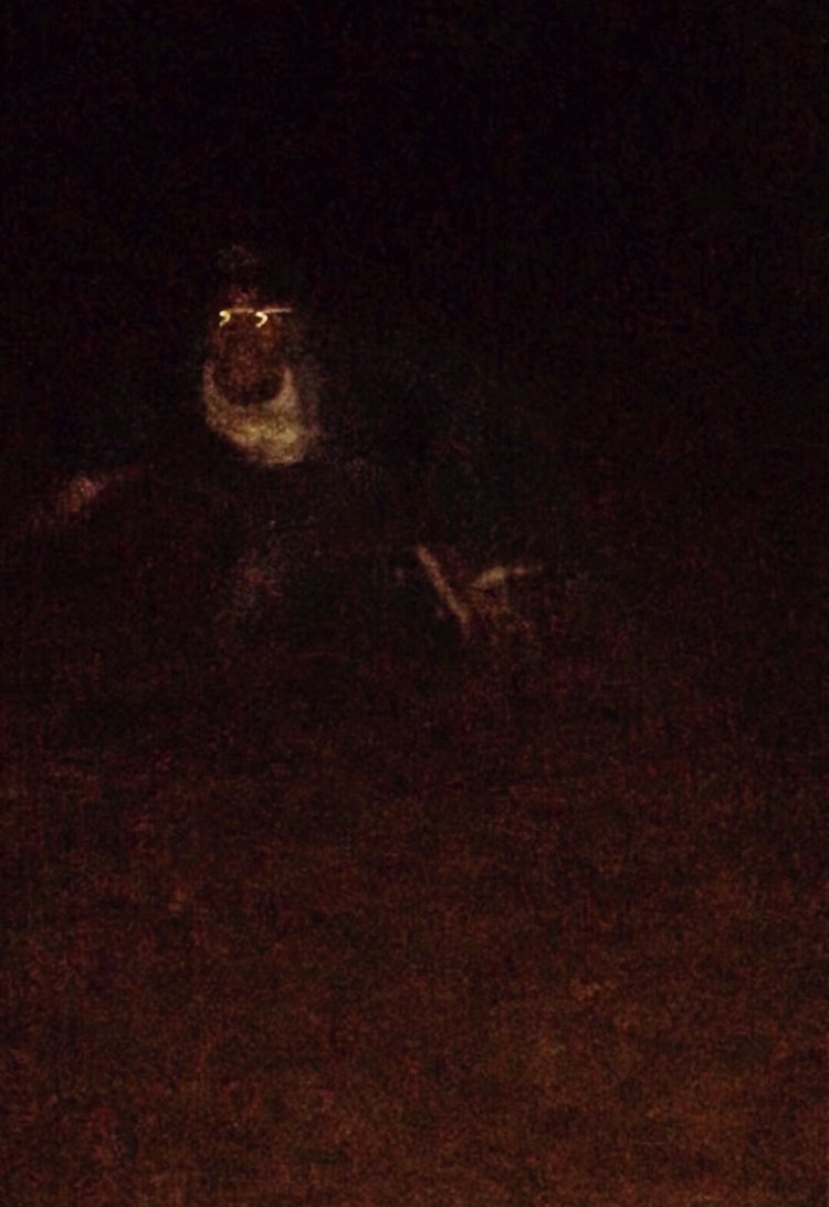 maexsthetic's tweet photo. he looks like smile dog https://t.co/0BTgdBIYMS