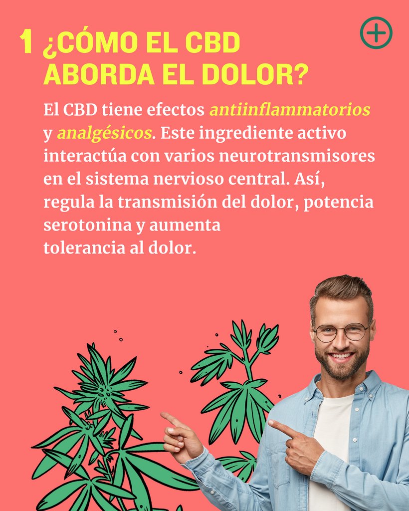 enecta_es's tweet photo. 🤔 ¿Tienes preguntas sobre CBD y el dolor?
👉🏻 ¡Desplaza el carrusel para encontrar las respuestas que necesitas!

#enecta #cbd #cannabidiol #aceitedecbd #salud #bienestar #antiinflamatorio #analgésico #natural #dolor #dolorcrónico #dolorneuropático #artritis #migraña https://t.co/q8QPLpdXbr