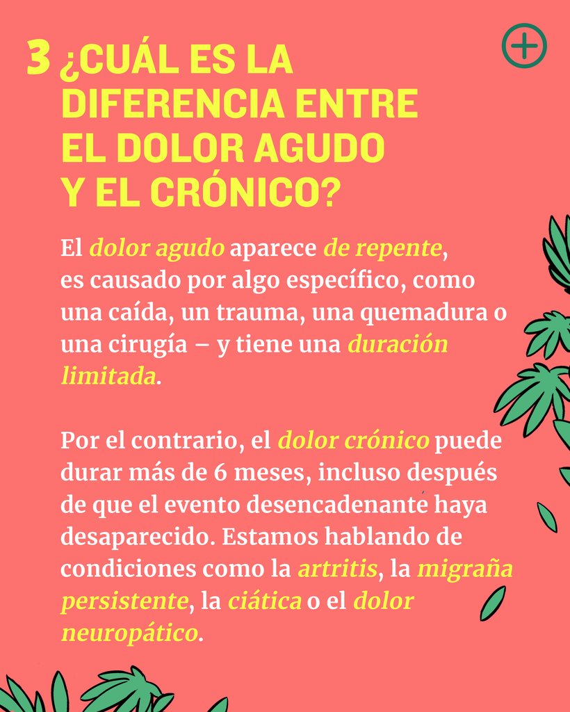 🤔 ¿Tienes preguntas sobre CBD y el dolor?
👉🏻 ¡Desplaza el carrusel para encontrar las respuestas que necesitas!

#enecta #cbd #cannabidiol #aceitedecbd #salud #bienestar #antiinflamatorio #analgésico #natural #dolor #dolorcrónico #dolorneuropático #artritis #migraña