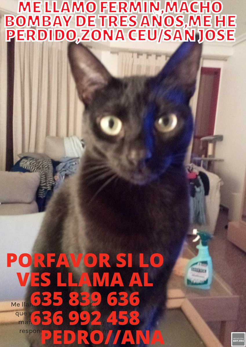 ivanelx79's tweet photo. Perdido en elche!! https://t.co/GeC8C67Enx