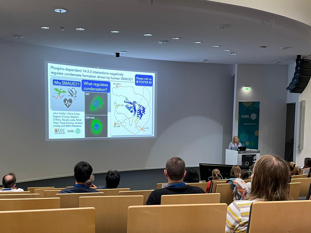 kelliedean99's tweet photo. Super day #EESPhaseSeparation! We presented our work as a flash talk+poster :) Well done to @JohnFehilly for his work in the lab+on the poster!! Massive thanks to our fab collaborators @andrewlindsay36&amp; @_BalintMeszaros This would not have happened without you! @bioucc @SEFSUCC https://t.co/LENiVVVMQA