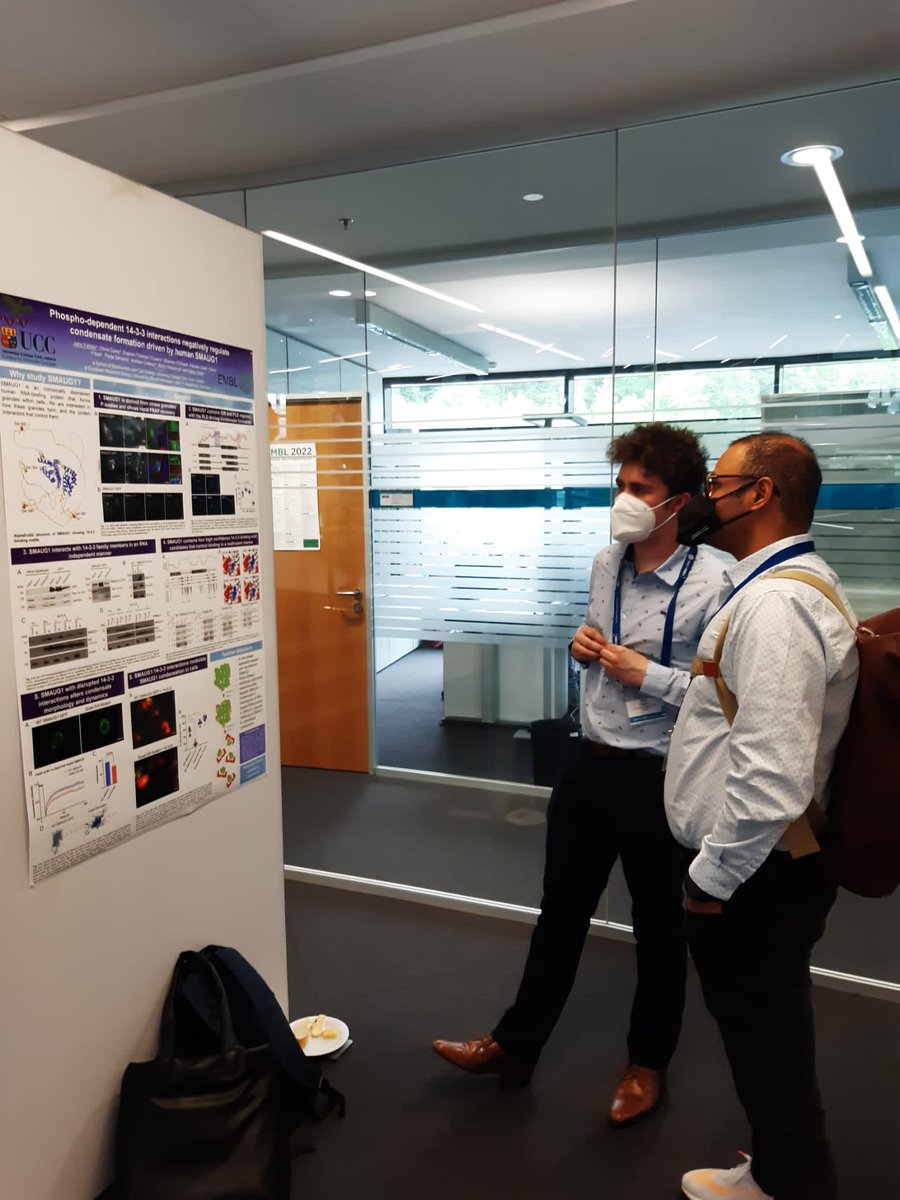 Super day #EESPhaseSeparation! We presented our work as a flash talk+poster :) Well done to <a href="/JohnFehilly/">John Fehilly</a> for his work in the lab+on the poster!! Massive thanks to our fab collaborators <a href="/andrewlindsay36/">Andrew Lindsay</a>&amp; <a href="/_BalintMeszaros/">Bálint Mészáros</a> This would not have happened without you! <a href="/bioucc/">Biochemistry UCC </a> <a href="/SEFSUCC/">SEFS@UCC</a>