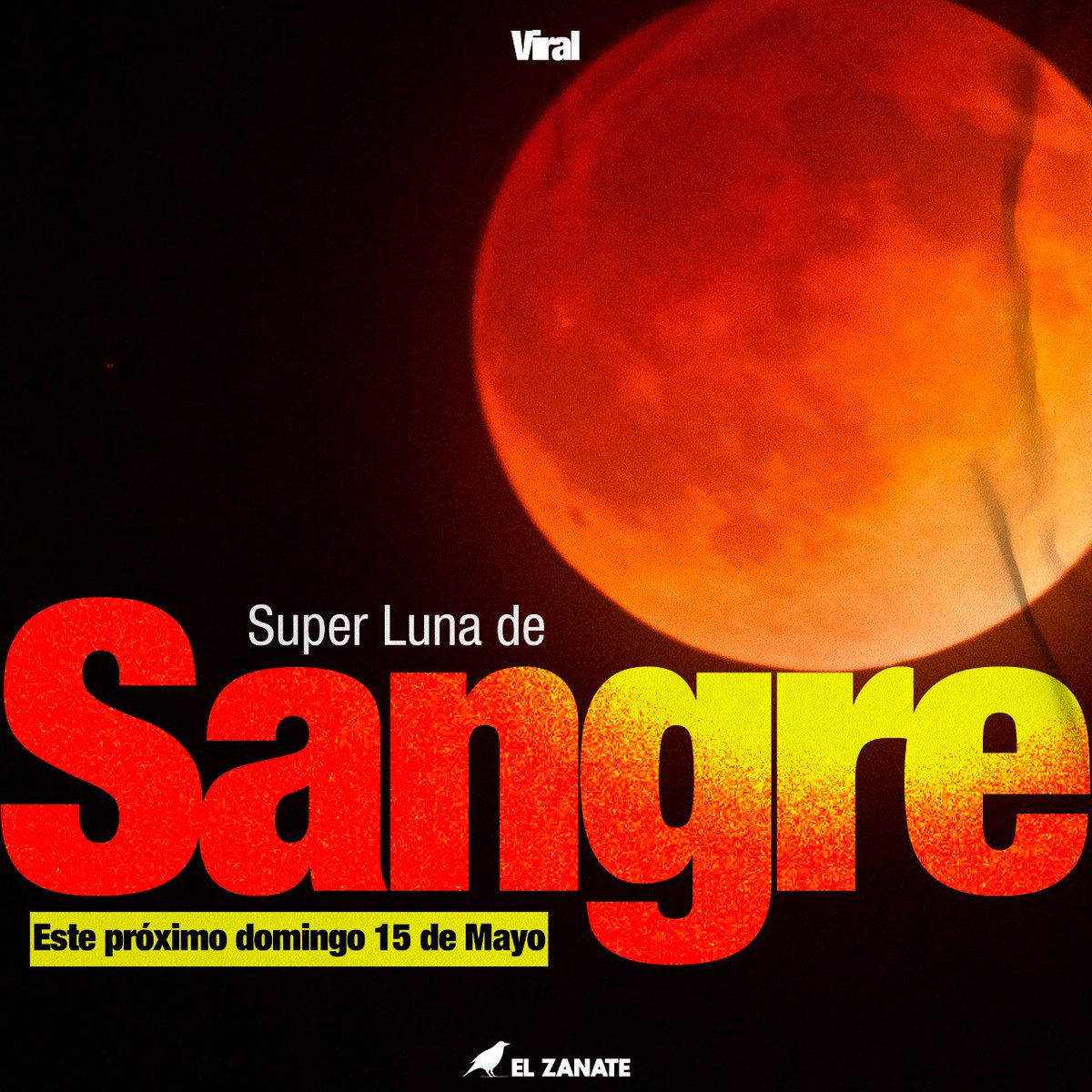 #Viral| Primer eclipse total de superluna de sangre y será visible en #Nicaragua, el cual ocurrirá este domingo. 

El fenómeno lunar, una vez inicien sus fases tendrá una duración de más de 5 horas y en su fase máxima casi hora y media,