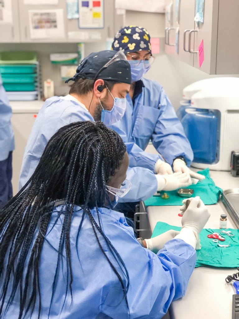 SantaMonicaOMS's tweet photo. Keeping the energy going in the cleaning lab!!!🥼🧼 #squeakyclean https://t.co/SO5bDVRmor