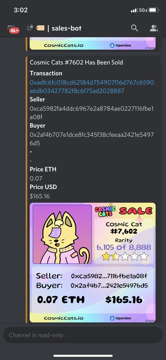 NotACosmicCats_'s tweet photo. Big shoutout to the legend @MenschenArt with his 33rd @CosmicCats_ and his 3rd #NotACat
Drop him a follow if you haven’t already! https://t.co/jqLGzWTBqX
