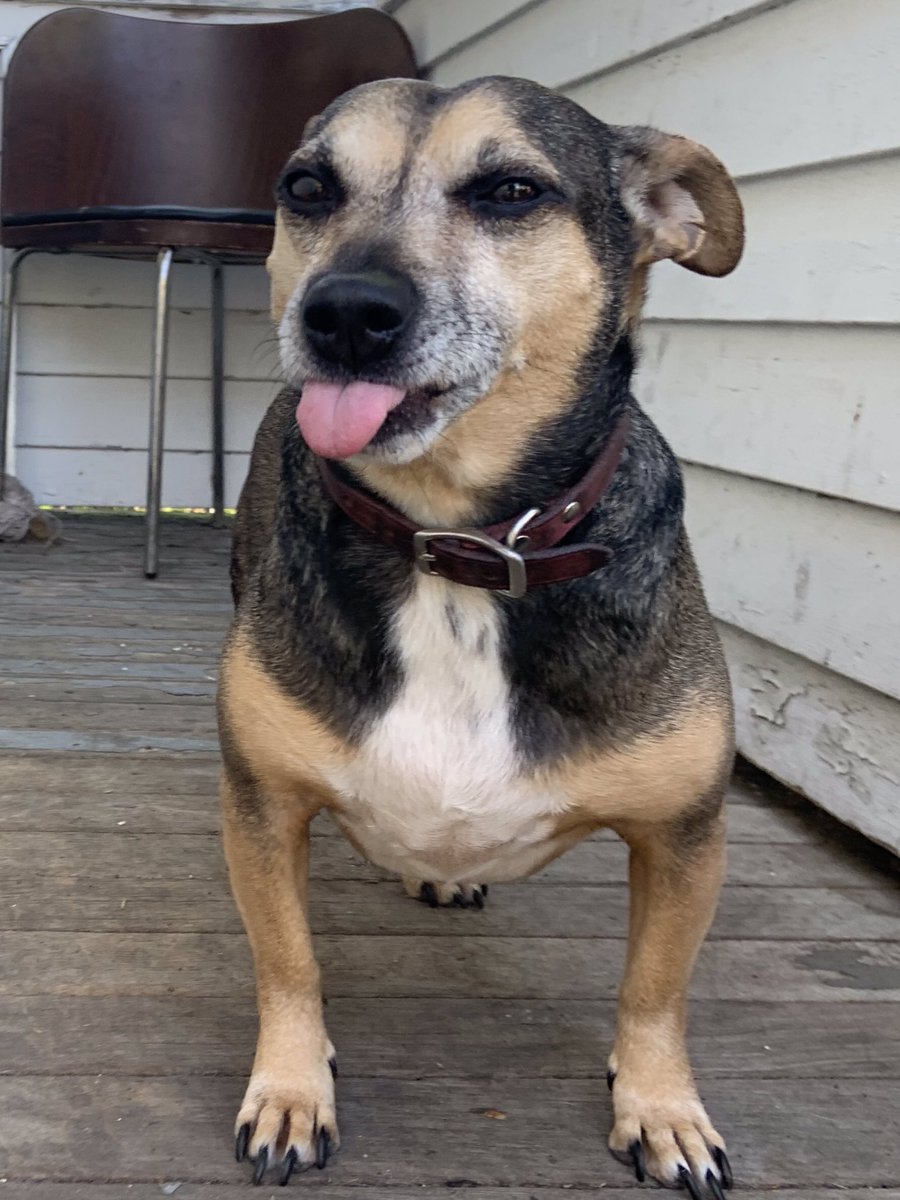 the twins tweet media