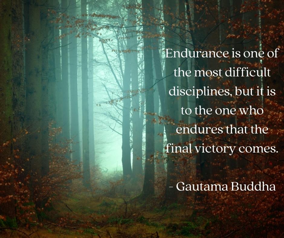 JustinNicholsHR's tweet photo. Thought for the day...

#InspirationalQuotes #endurance https://t.co/JVKmCBQDrU