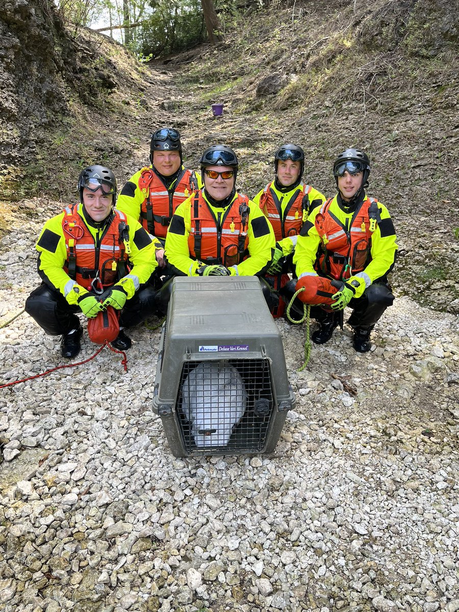 karnDC2's tweet photo. Today CW Fire worked alongside vol’s from the local swan club. FF’s retrieved one of the swans that was unable to navigate the river &amp; return to its nest. A community assistance call that turned into a great training session @CentrWellington @WellyAdvertiser @TheGrand101FM https://t.co/XgFn8BI38G