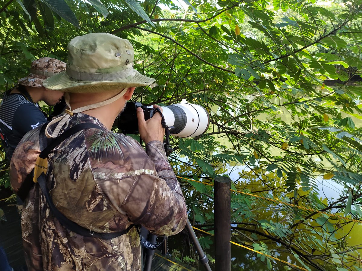 avesdelmeta's tweet photo. En Villavicencio Meta, se encuentra ubicado el @BiopOcarros. Además de ser un centro de protección de muchas especies, también es un buen sitio para realizar avistamiento de Aves. En la tarde hoy, los niños tuvieron la oportunidad de pajarear con @MemoGomezFoto. #ITM
#AvesMeta https://t.co/eOg992ELJX