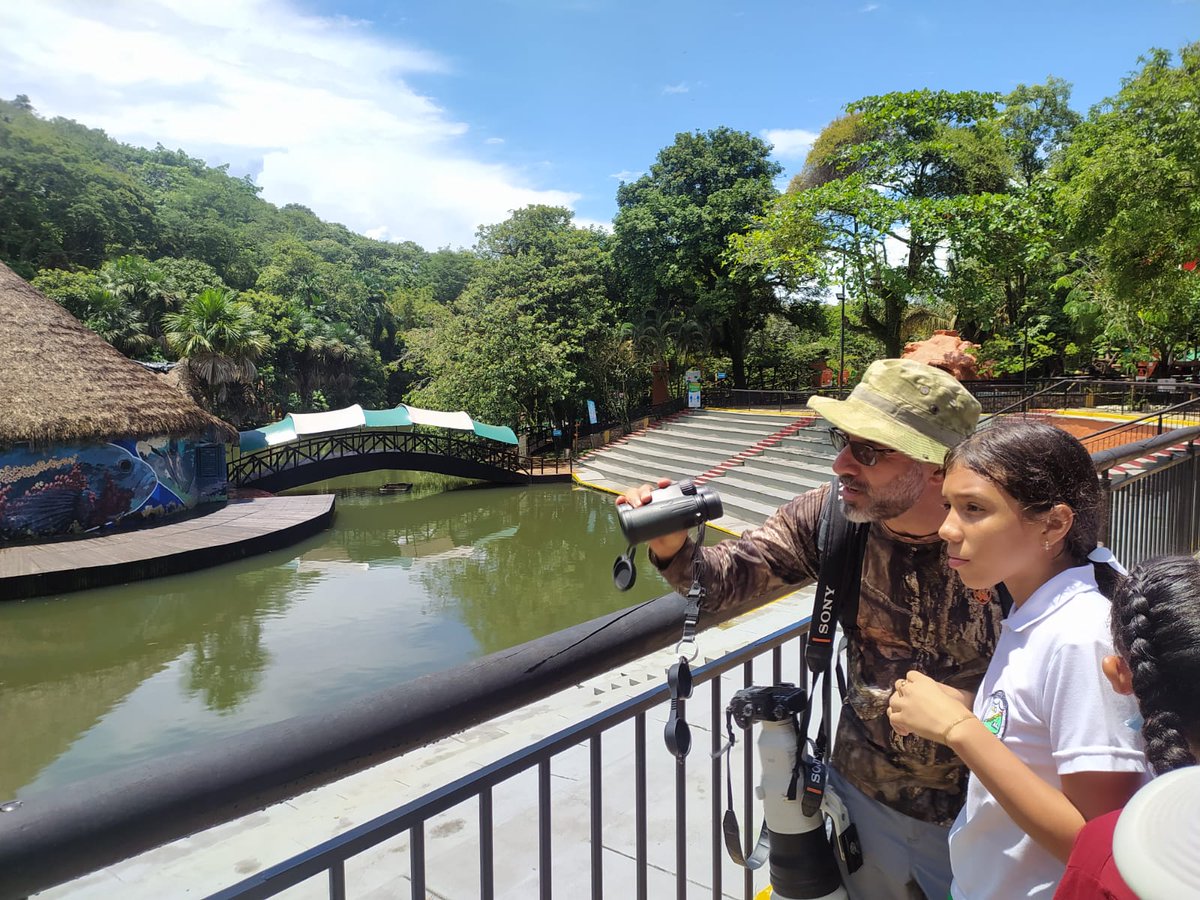 avesdelmeta's tweet photo. En Villavicencio Meta, se encuentra ubicado el @BiopOcarros. Además de ser un centro de protección de muchas especies, también es un buen sitio para realizar avistamiento de Aves. En la tarde hoy, los niños tuvieron la oportunidad de pajarear con @MemoGomezFoto. #ITM
#AvesMeta https://t.co/eOg992ELJX
