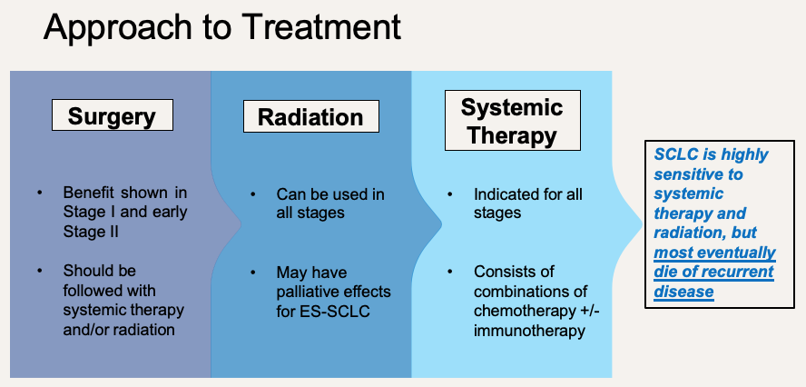 ash_mull3's tweet photo. Treatment of SCLC can include combinations of surgery, radiation therapy, and systemic therapy. SCLC is highly sensitive to these therapies; however, most patients will eventually die of recurrent disease. https://t.co/6VQEp6RFdD