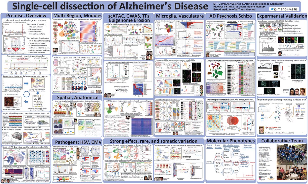 "The only thing more full than the auditorium tonight is @ManolisKellis poster" <a href="/LB_Barreiro/">Luis B Barreiro</a> intro at #BoG22... Ahem... you be the judge. Poster #135, come say hi! Full res here: dropbox.com/s/1zbjwcah7qmt… #Alzheimers #SingleCell