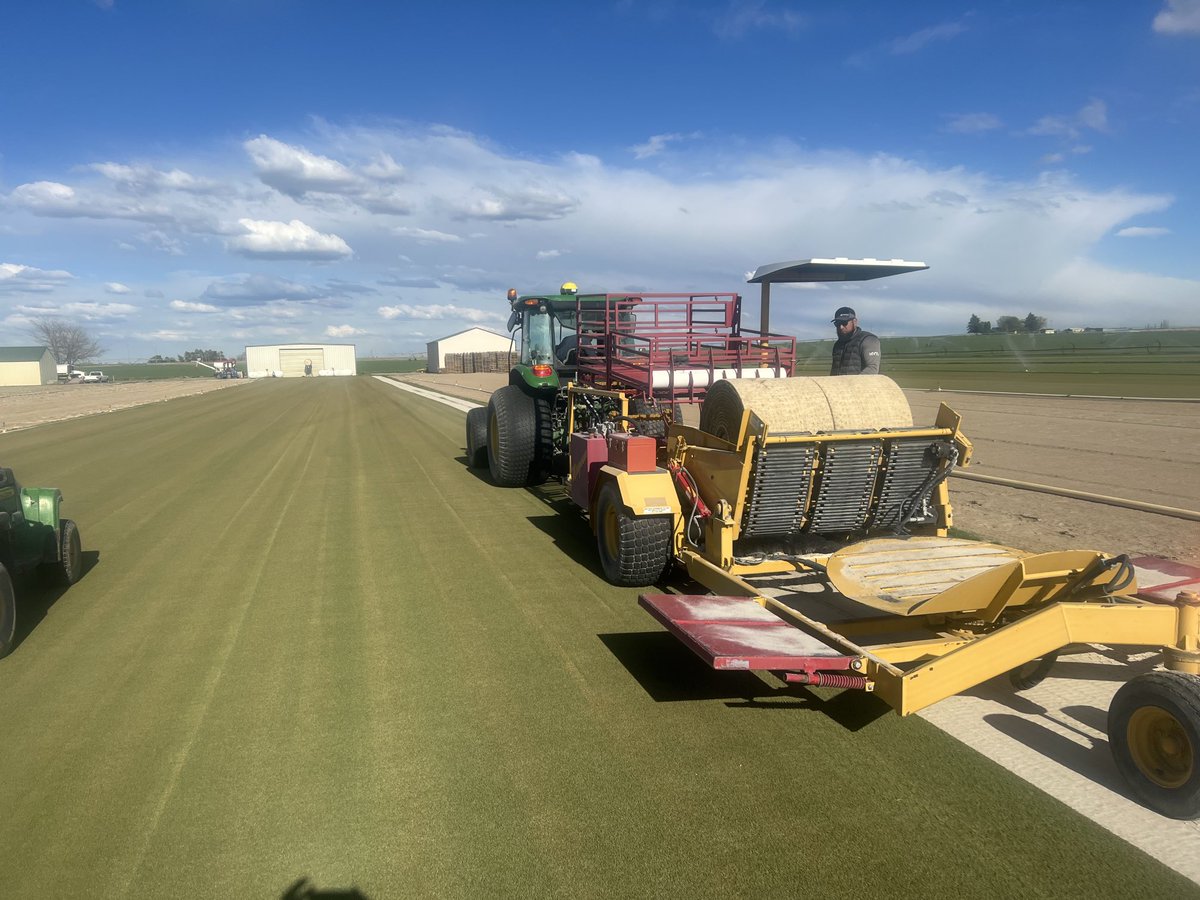 Matt Nelson tweet media