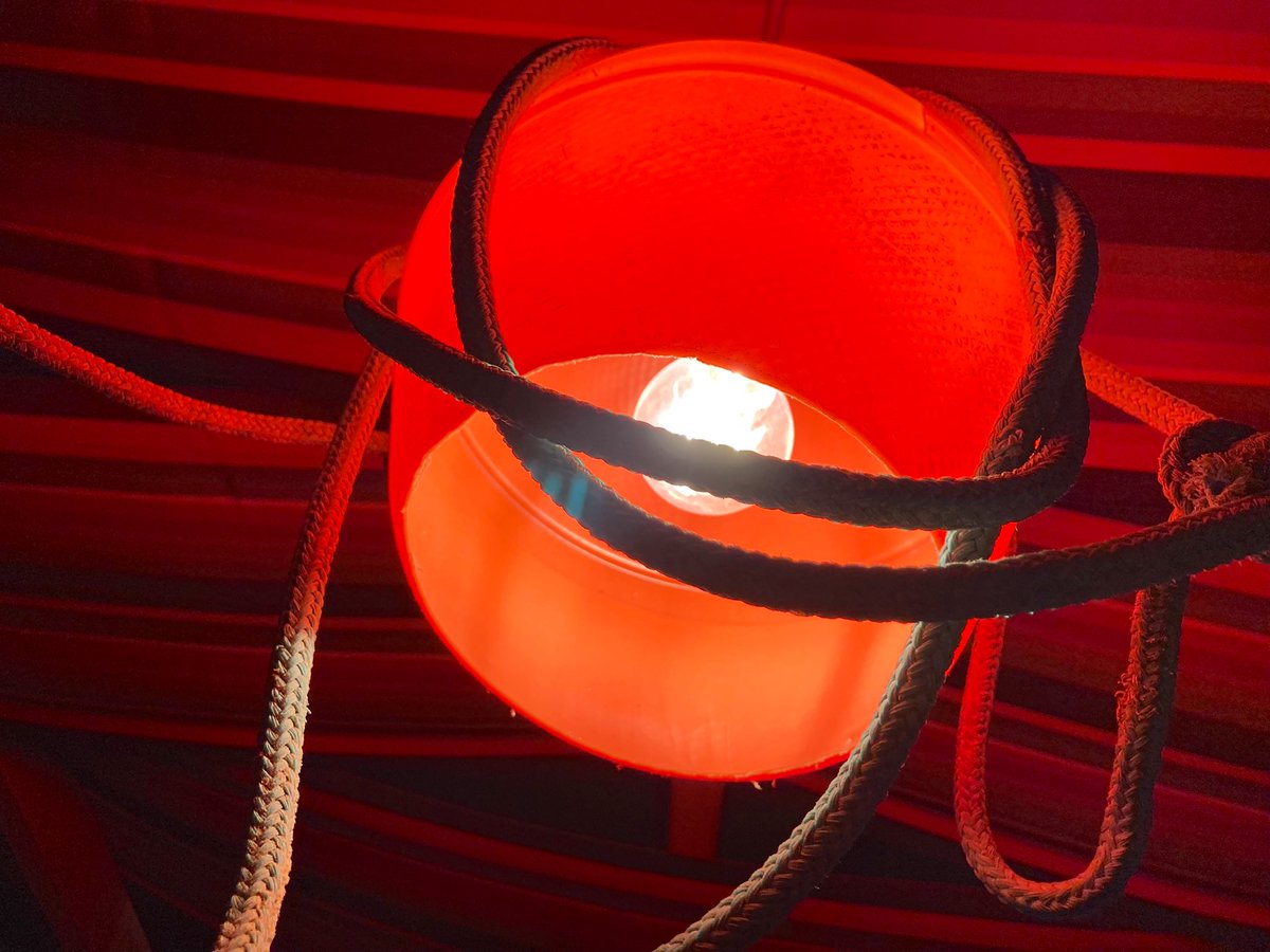 ARTBlueNil's tweet photo. The name of indecision turned red
Silence howled and left wearing the red on his wing.. @ARTBlueNil 
#red #RedCarpet #light #art #ArtistOnTwitter #artist #NFTs #NFT #NFTCommunity #NFTartists #nftart #NFTartists #nftcollector #NFTcollectibles https://t.co/UiKPLvJSsI