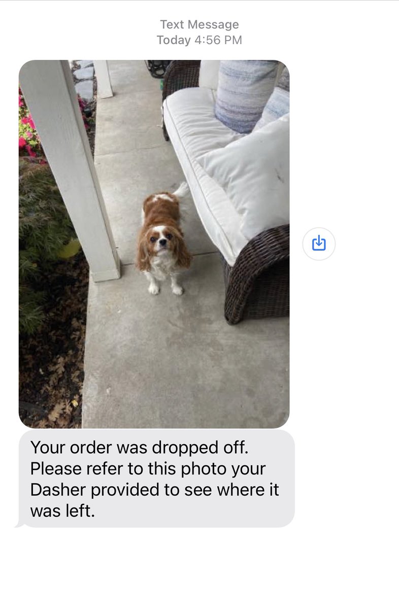 Elyce Kirchner tweet media