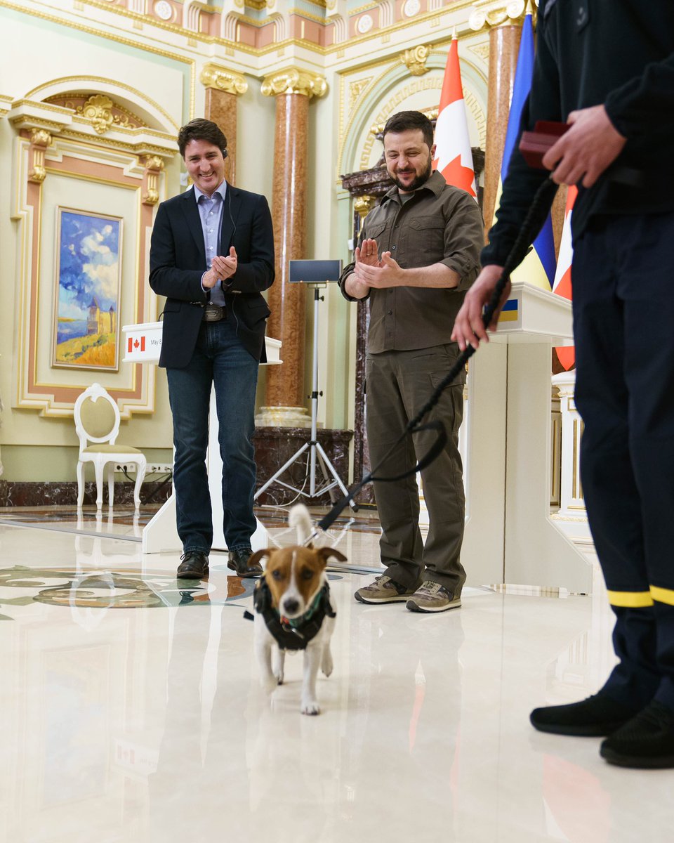 JustinTrudeau's tweet photo. Voici Patron. Il a déjà aidé les forces ukrainiennes à détecter plus de 200 explosifs et il aide à sensibiliser les enfants aux mines. L’autre jour, le président @ZelenskyyUa lui a rendu hommage – ainsi qu’à son maître – pour tout ce qu’ils ont fait et font encore. https://t.co/IkFdjVNeDd