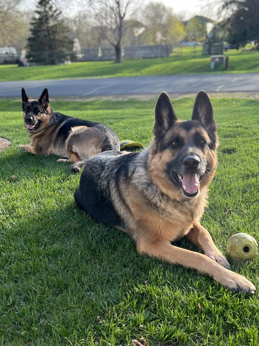 Lauren Lien tweet media