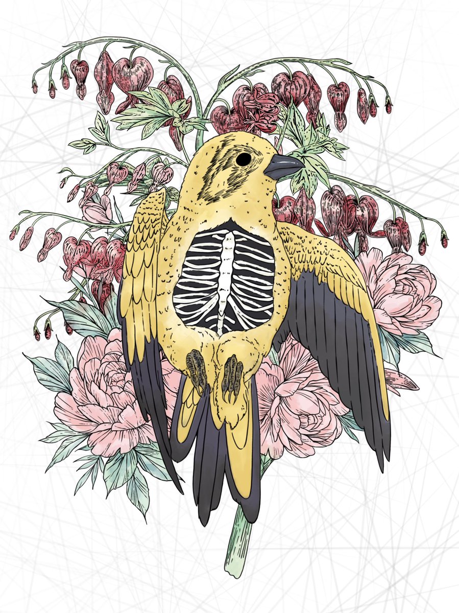 Lauran Marling (@lauranmarling) on Twitter photo 