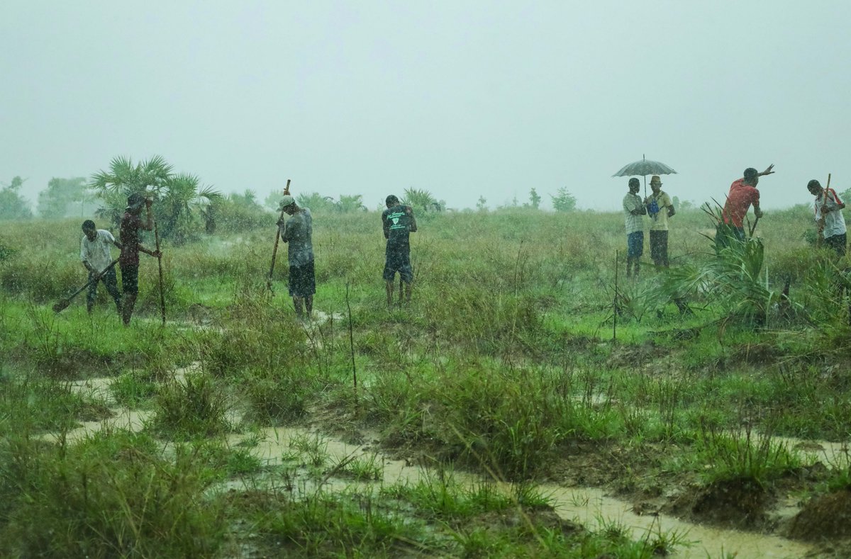 eden__plus's tweet photo. Come rain or shine, with grit and determination, our teams are committed to producing, planting, and protecting millions of trees in some of the most heavily deforested areas in the world. #PlantTrees #SaveLives https://t.co/U7jmjacnU3