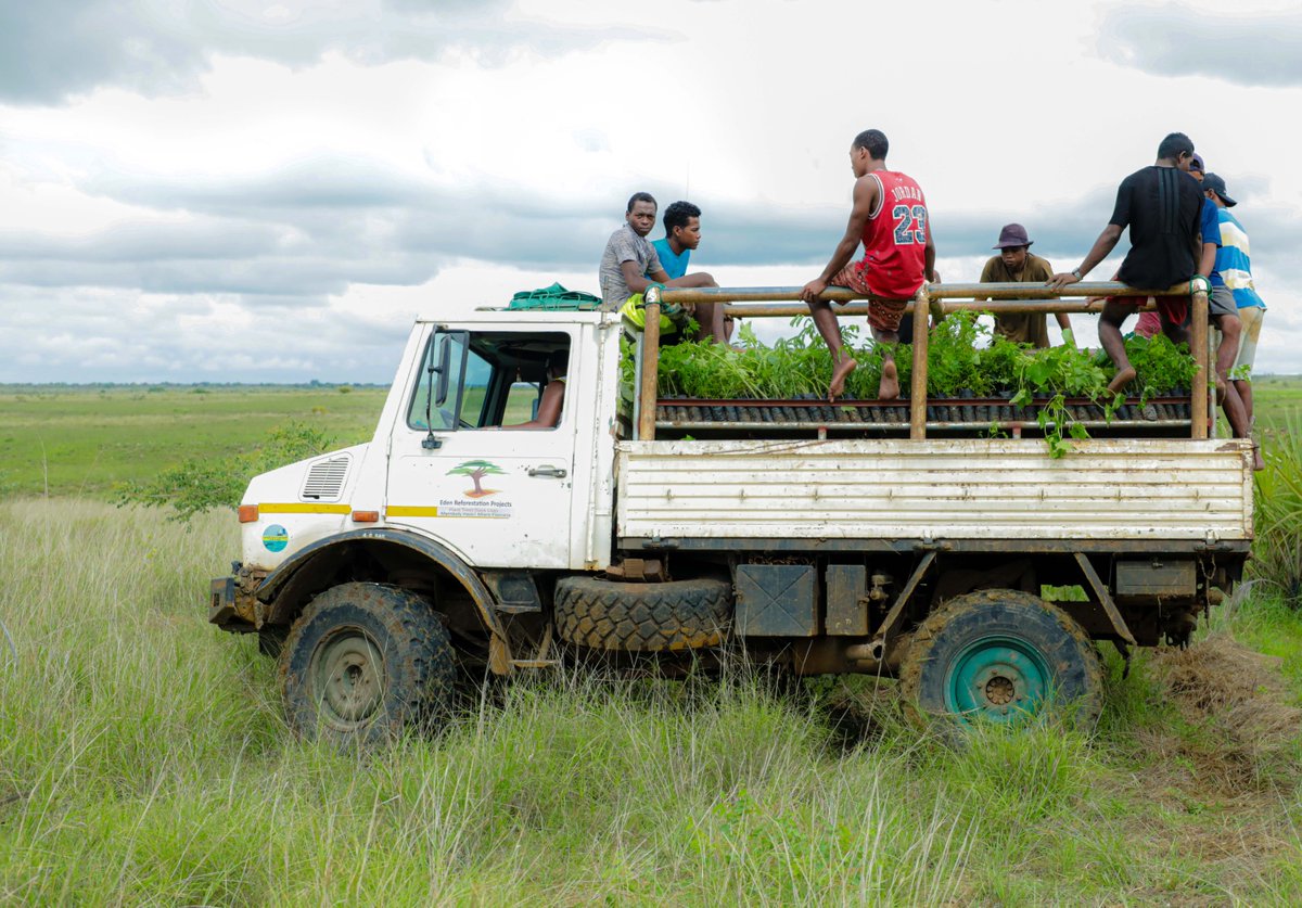 eden__plus's tweet photo. Come rain or shine, with grit and determination, our teams are committed to producing, planting, and protecting millions of trees in some of the most heavily deforested areas in the world. #PlantTrees #SaveLives https://t.co/U7jmjacnU3