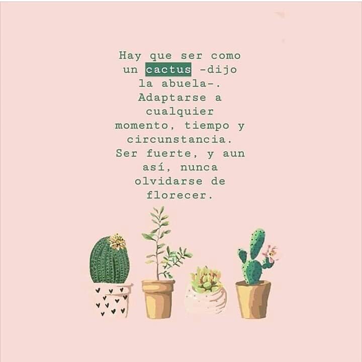 AquiLoLei's tweet photo. Nunca olvidarse de florecer🙌 https://t.co/jkJrBTE7IQ