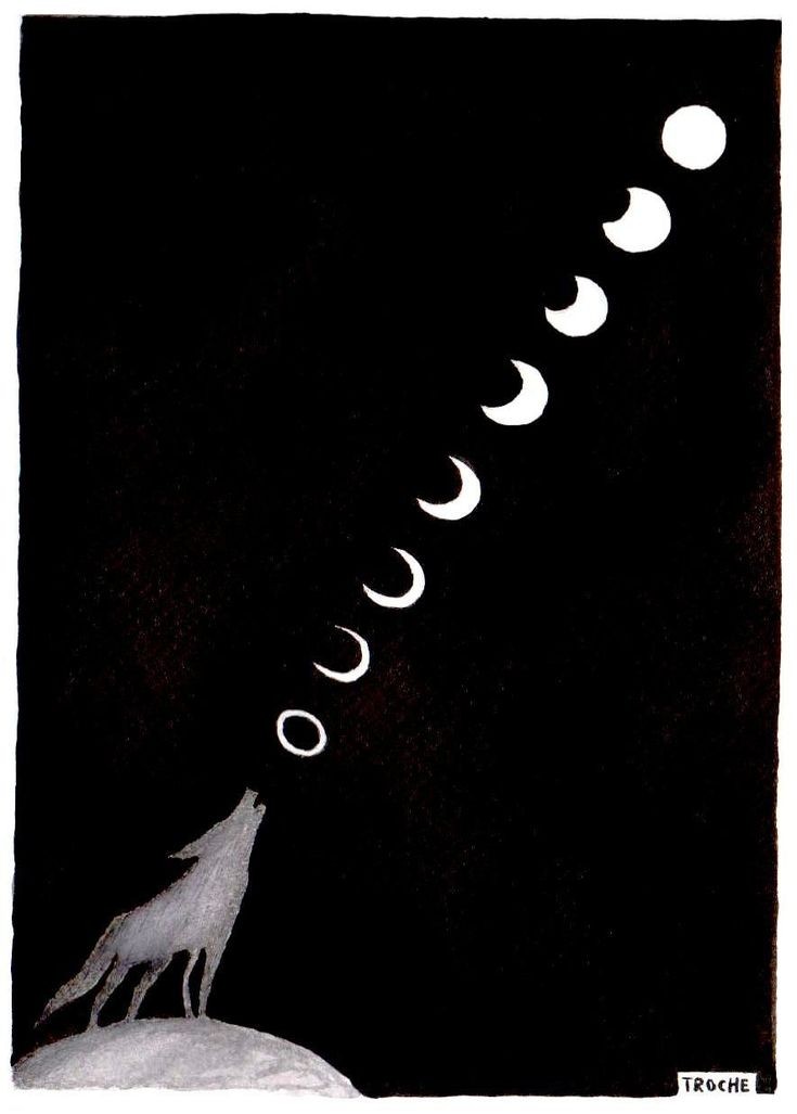 NatMeneses2's tweet photo. Buenas noches!! 🌜

#Troche https://t.co/sjrvkxR7g9