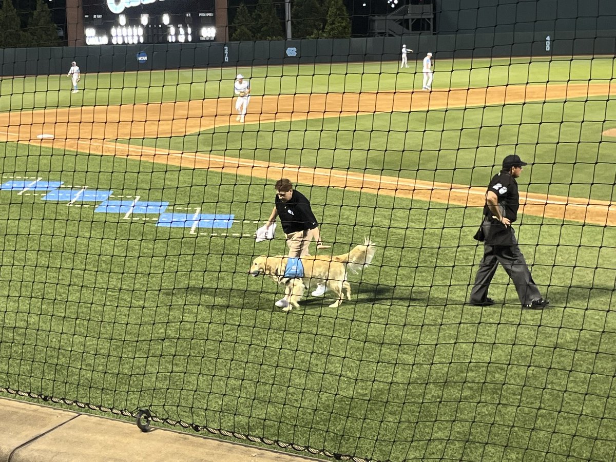 cwentink92's tweet photo. Great night at the Bosh where @homerunREMI is doing his best work!

#GoHeels @DiamondHeels https://t.co/Yc4CDrj60y