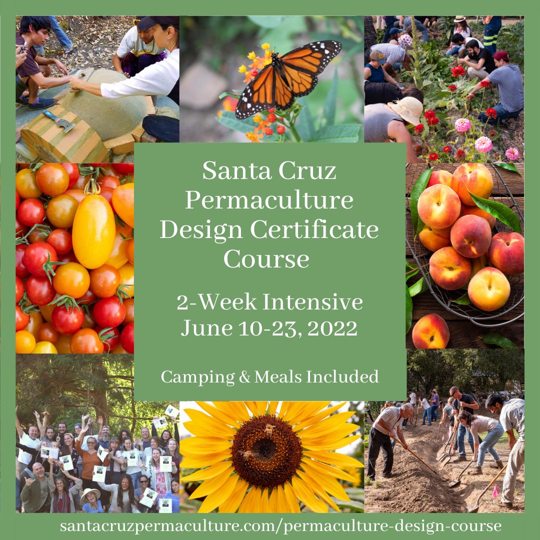 June is fast approaching and we are thrilled to be hosting this summer's intensive permaculture design course on our new farm, located just across the road from Ano Nuevo State Park! Register soon! Camping and meals included.
santacruzpermaculture.com/permaculture-d…