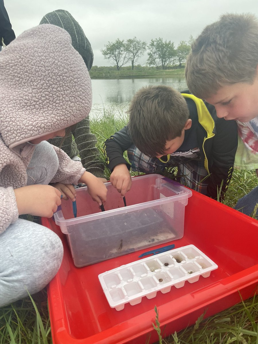 CIANeosho's tweet image. #tweetingtuesday Thanks @MrWellesleyNJH &amp;amp; NJH Nature Relationships class for hosting/teaching us how to hold a macroinvertebrate census. We have such a rich resource in our own “backyard!” Wrapping up Marine Debris PBL. #weareallconnected #explorersmindset @NeoshoSD