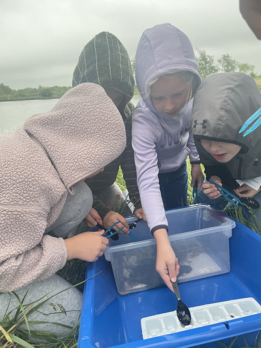 CIANeosho's tweet image. #tweetingtuesday Thanks @MrWellesleyNJH &amp;amp; NJH Nature Relationships class for hosting/teaching us how to hold a macroinvertebrate census. We have such a rich resource in our own “backyard!” Wrapping up Marine Debris PBL. #weareallconnected #explorersmindset @NeoshoSD