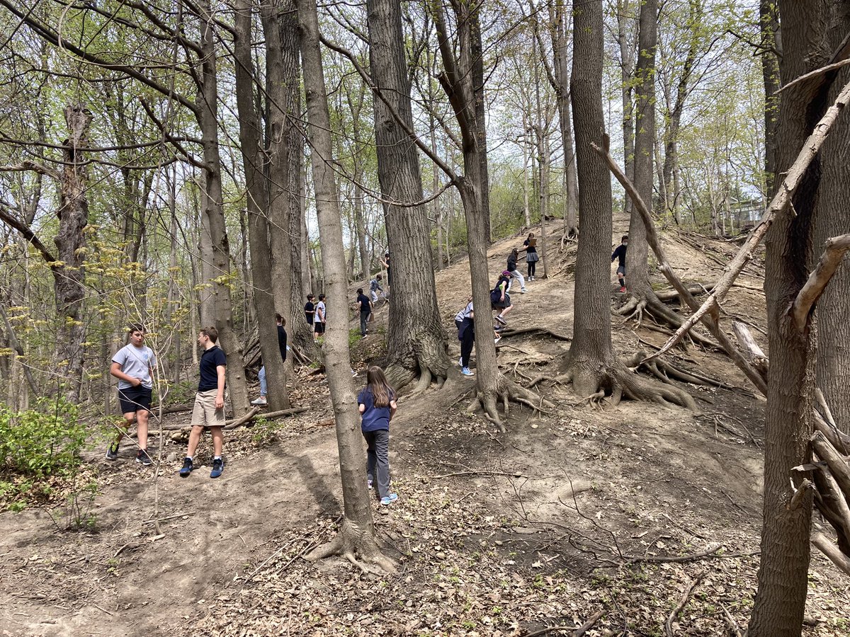 Kate Walker tweet media