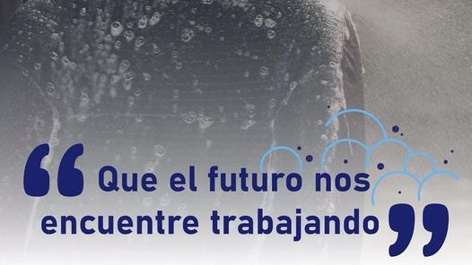 ProlimpCuba's tweet photo. De fregadora de autos a empresa de limpieza. 

Más de 8 servicios que puedes encontrar aquí 👇
https://t.co/34o6rlQWma https://t.co/yewFonTejg