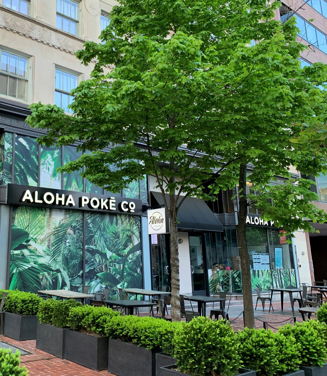 Alan S. Inouye tweet media