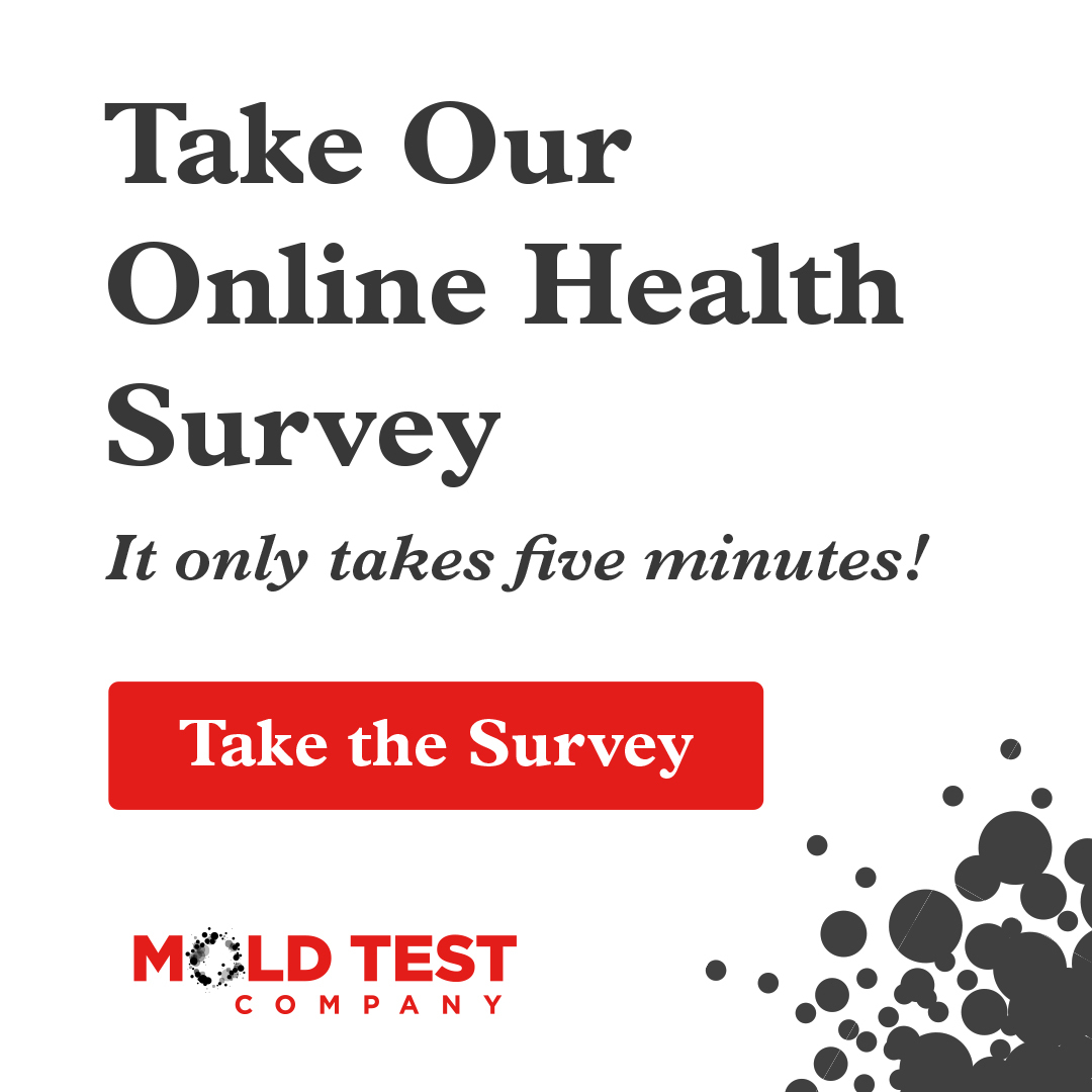 test_mold's tweet photo. Is Your Home Making You Sick??
We offer at no additional fee the ability to speak with one of our expert analysts to review the results of your environmental health screen: https://t.co/cuCfGtWDMv
#moldtestcompany #environmentalinspection https://t.co/w5A5YPtJRx