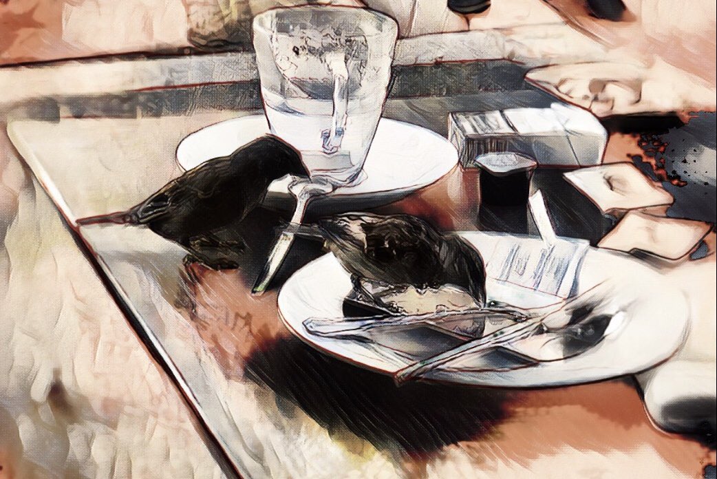 cryptocrony_'s tweet photo. Imazing #NFT 🤩🤩🤩🦜

#NFTProjects #NFTCollection #NFTCommunity #NFTs #nftart #NFTFAM 

https://t.co/1IIYgXi5WO https://t.co/EGxspWJX1e