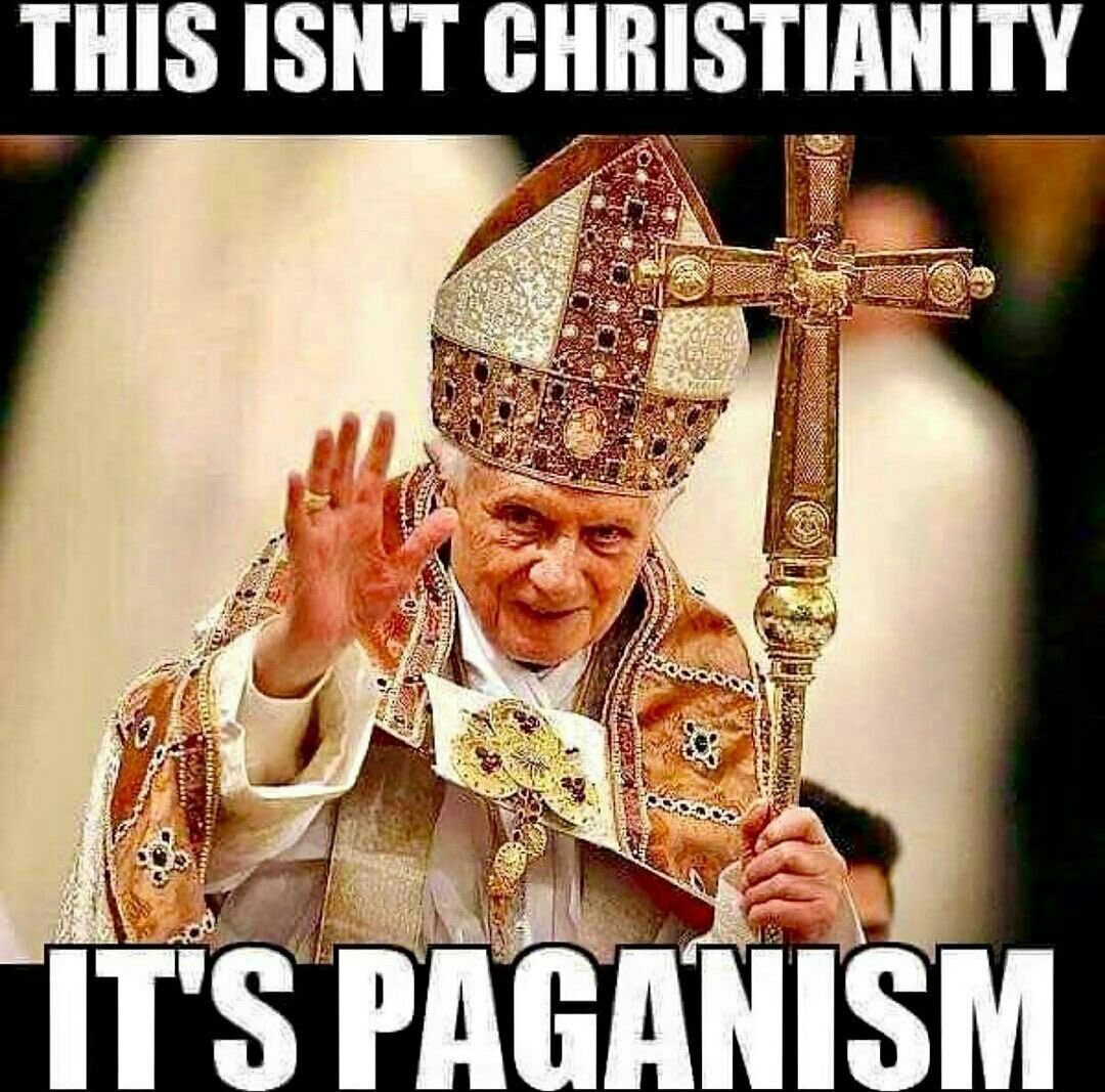 3treesgrowing's tweet image. 