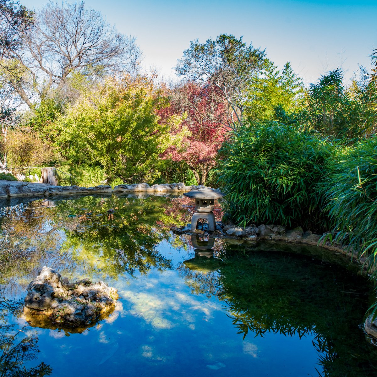 Tranquil Water Gardens 2 (@tranquilwg2) on Twitter photo Tranquil Water Gardens 2 is happy to offer spring clean-outs to keep your water looking clean.  #TranquilWaterGardens Tranquil Water Gardens 2 is happy to offer spring clean-outs to keep your water looking clean.  #TranquilWaterGardens