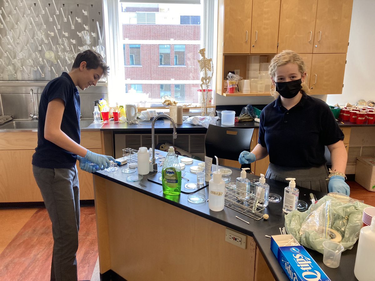 Kate Walker tweet media