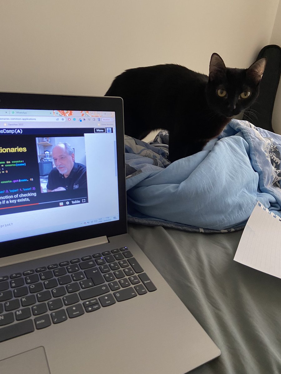 programmertobe's tweet image. Look who is studying with me today❤️
#pythonlearning
