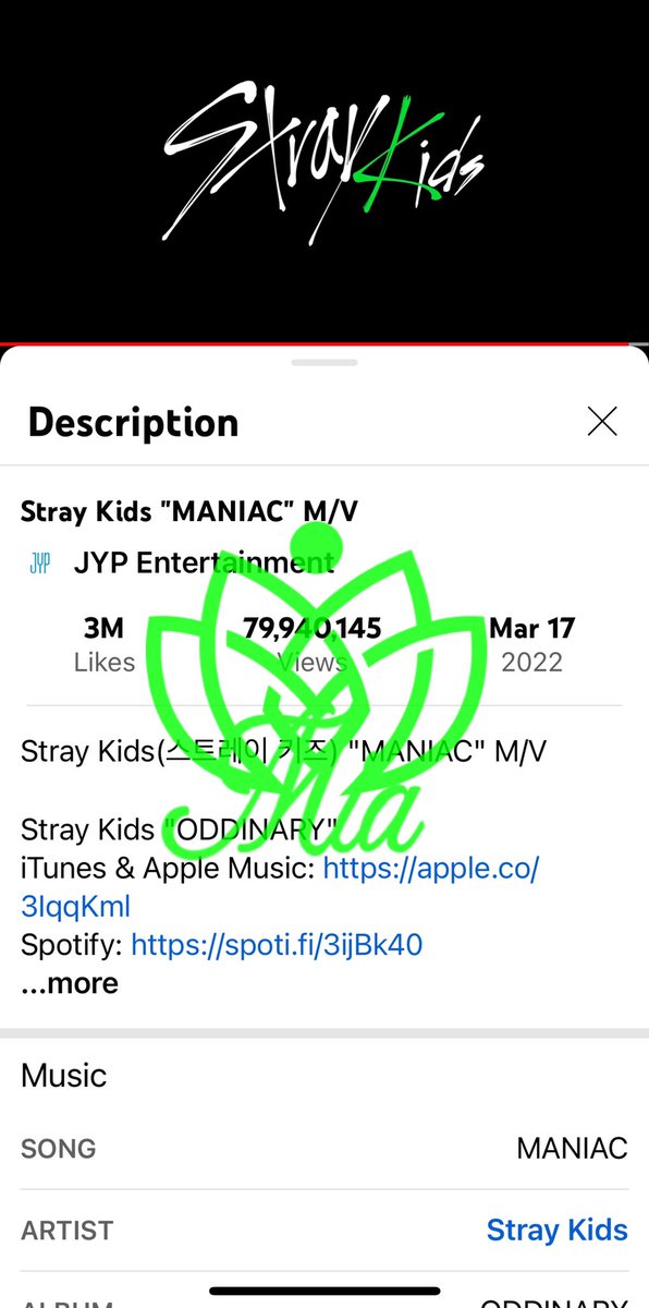 mia893223324's tweet photo. @hyunjinandme08 Let’s go keep streaming #MANIAC_SKZ SOTY by #StrayKids AOTY #ODDINARY @Stray_Kids!!! Also let’s stream #Thunderous #roadto200 #teamthunderous https://t.co/313svN3ddw