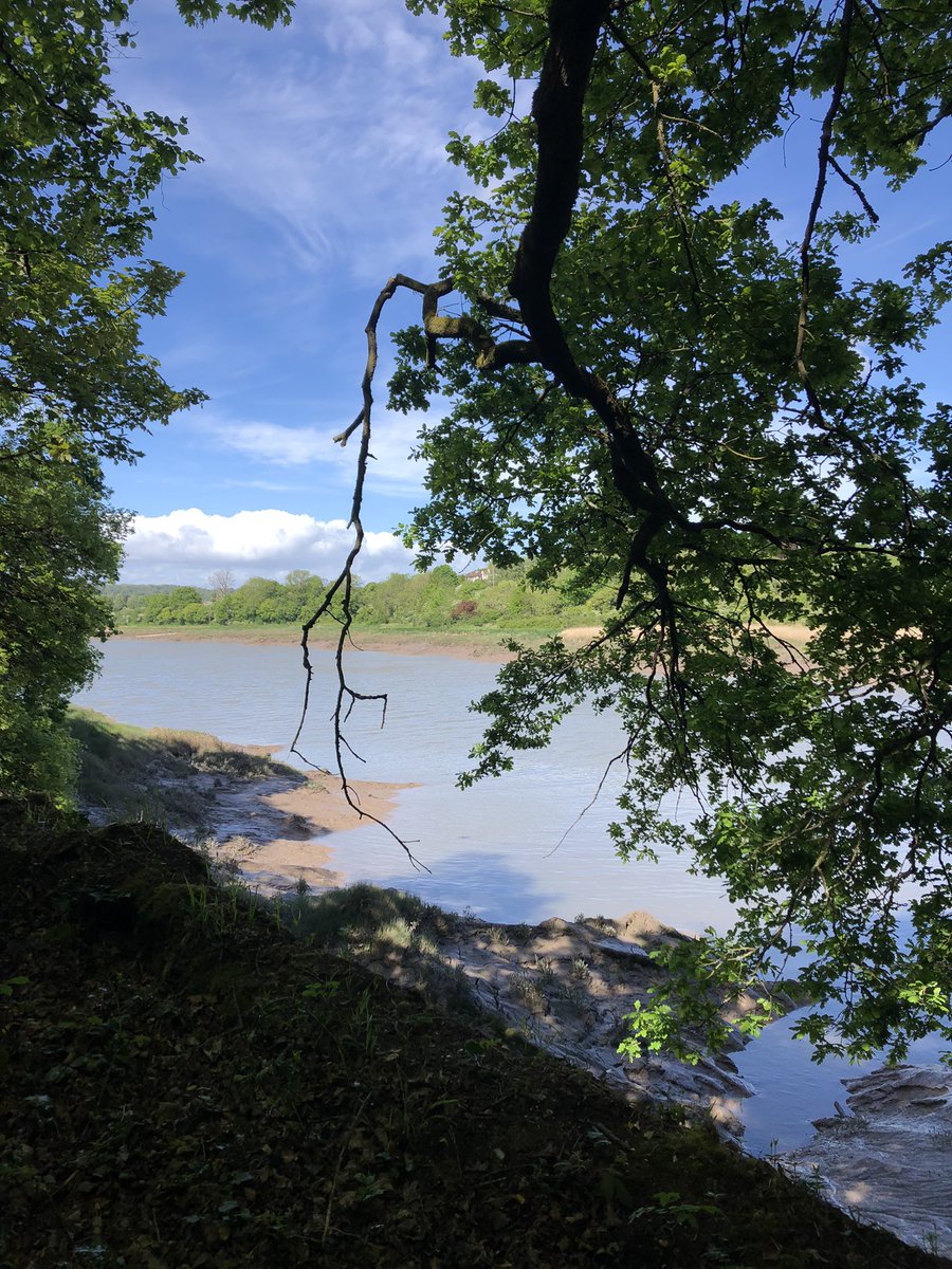 karin_stowell's tweet photo. Great to join the nature and wellbeing walk for young people this afternoon with Avon Gorge and downs project one of the projects funded by Coop membership #biodiversity @Coop_Melo @DallimoreJade #nature #ItsWhatWeDo https://t.co/XrsjVpYSoX