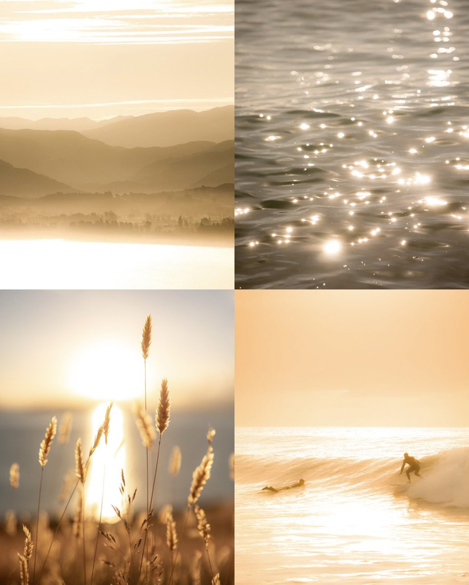 ellencayford's tweet photo. Photos from the coast. Gm ✨ https://t.co/0ZUdB71cUc