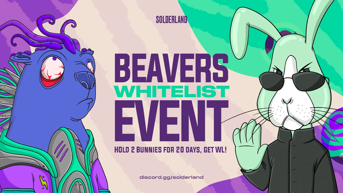 SOLDERLAND 🐰 🦫 tweet media