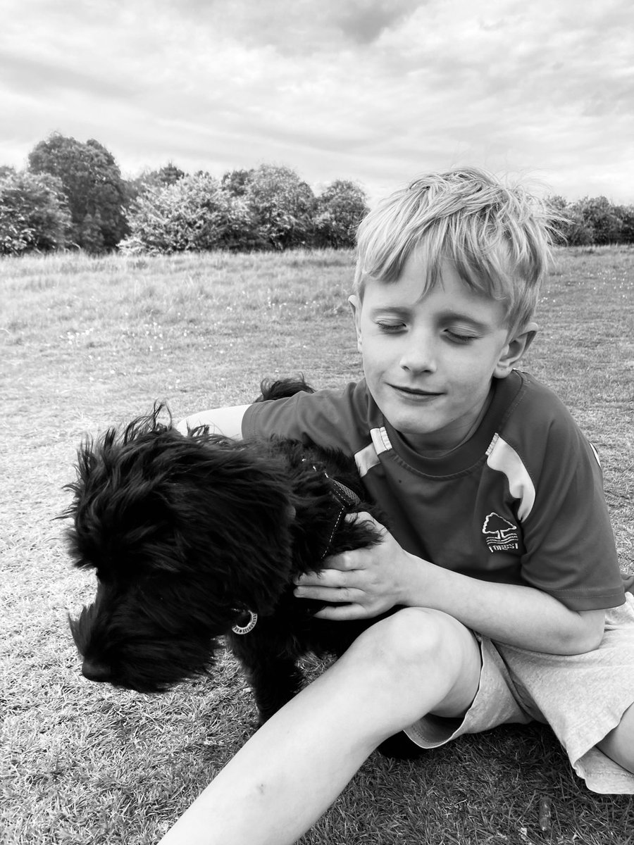 MrsHShaw's tweet photo. @stukeleymeadows #stukeleycreativechallenges #takeamoment https://t.co/IYpAImxWU1