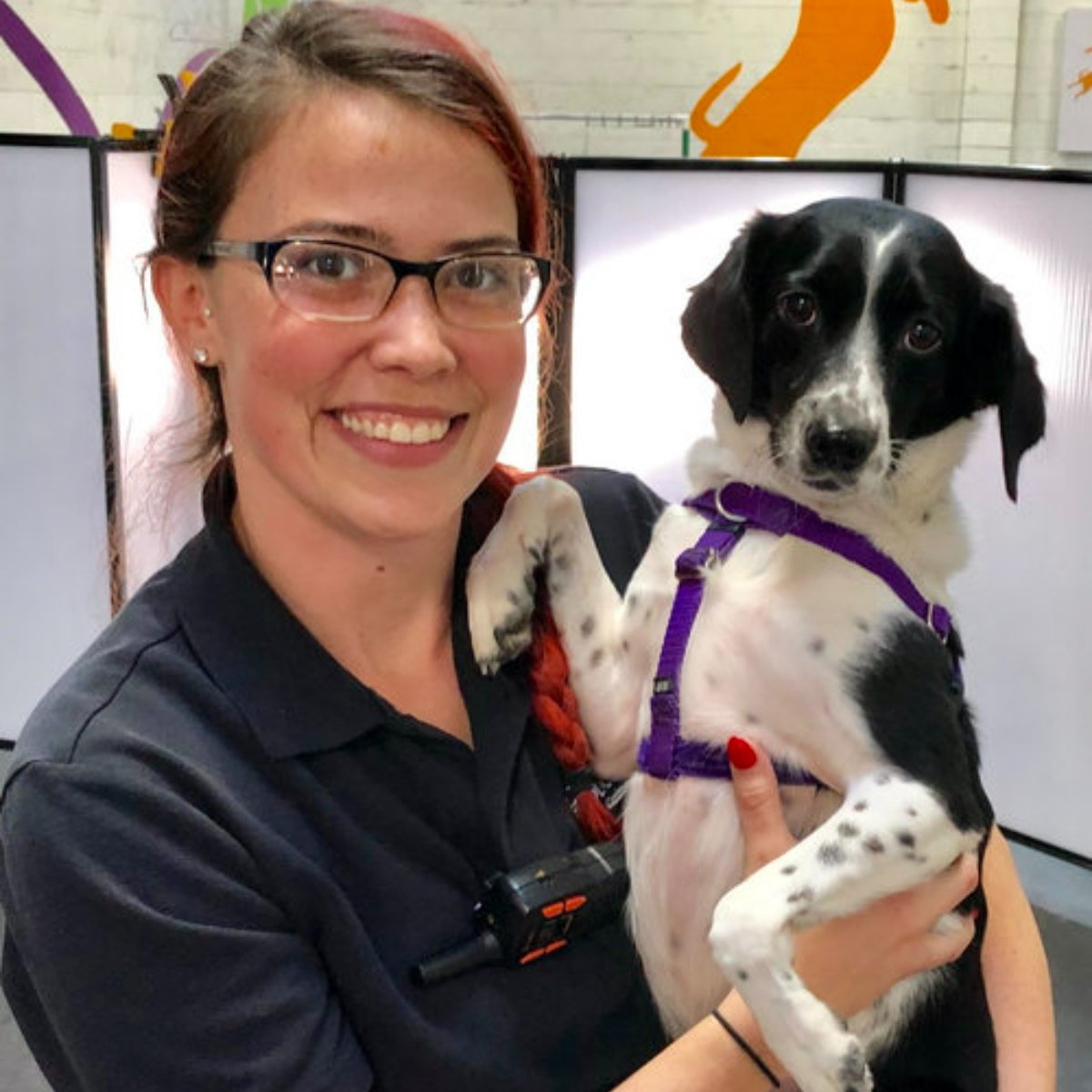 FrolickDogs's tweet photo. There's always time for photos with these adorable pups! #FrolickDogs #DogFriendly #AlexandriaDogs https://t.co/rJnt1AZnYd