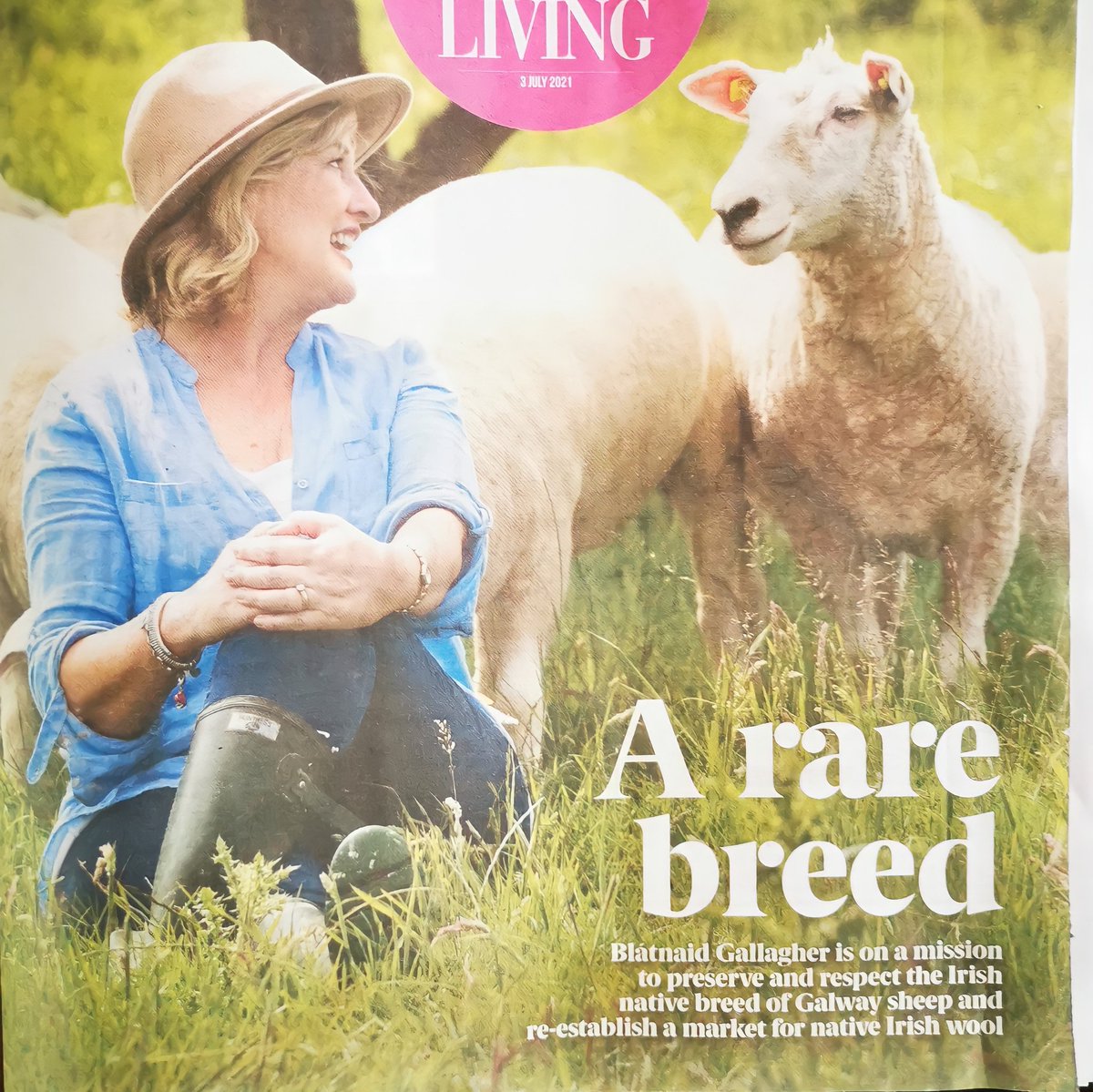 Blatnaid tweet media